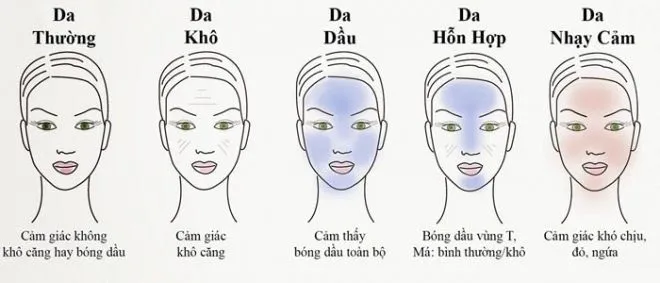 Tìm hiểu chung về da dầu và da khô: Hai thái cực đối lập của làn da