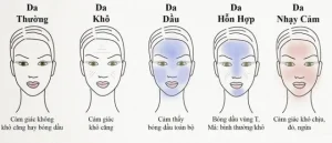 cách phân biệt da dầu và da khô